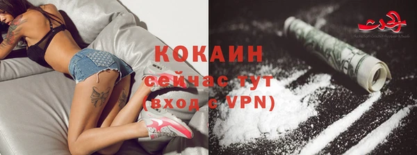 крисы Лабытнанги